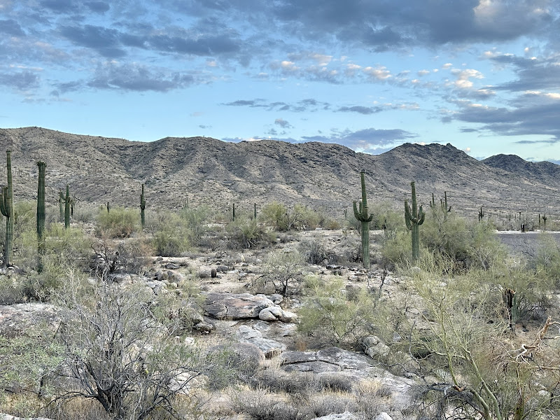 South Mountain Park and Preserve - Park in Phoenix