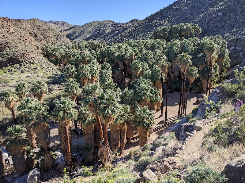Indian Canyons - Tourist attraction in Palm Springs