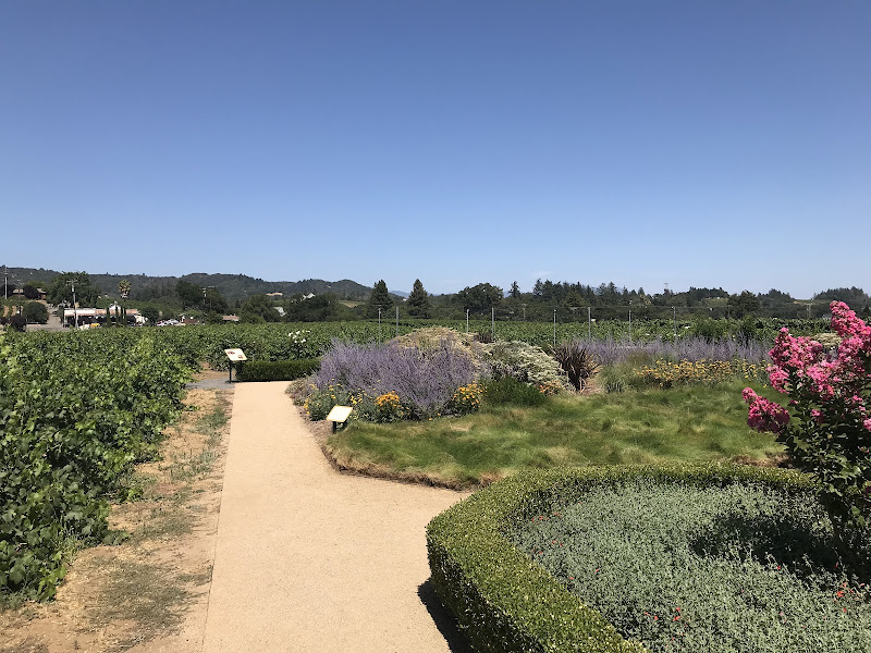 Dry Creek Vineyard