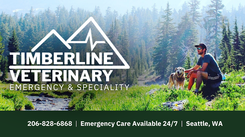 Timberline Vet Emergency & Specialty - Emergency veterinarian service in Seattle
