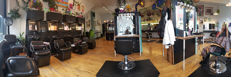 Twisted Scissors - Hair salon in Chicago