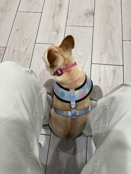 Navarre Beach Veterinary Clinic