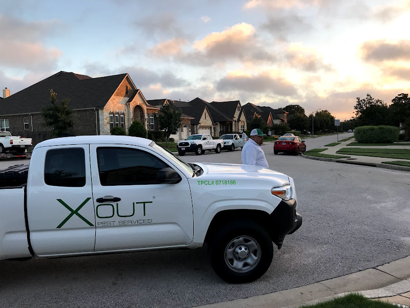 X Out Pest Services