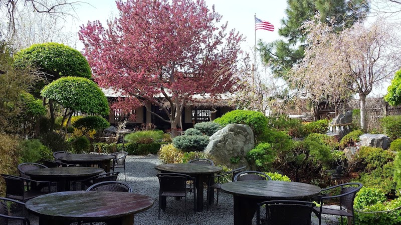 Domo Japanese Country Food Restaurant - Sushi restaurant in Denver