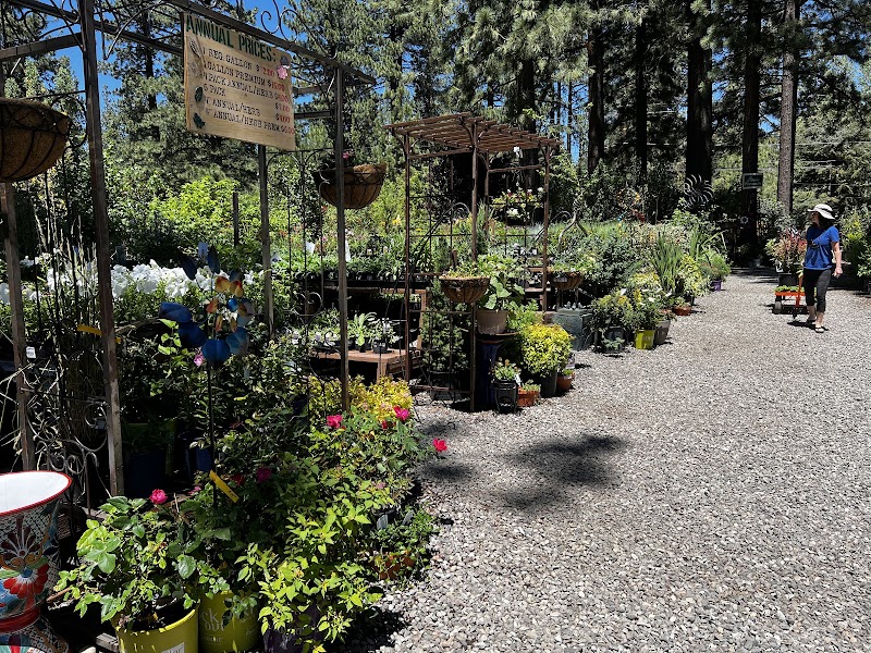Tahoe Outdoor Living Nursery photo