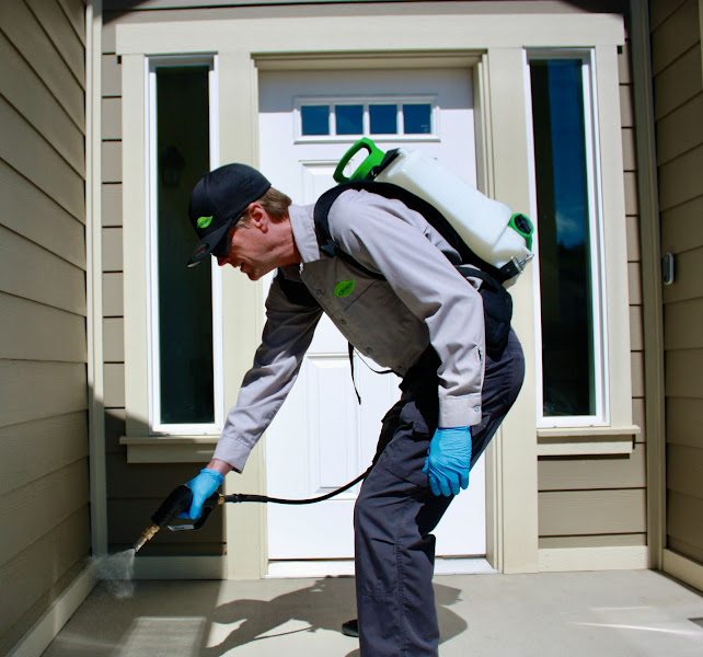 Croach Pest Control