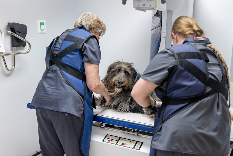 Livewell Animal Urgent Care of East Nashville