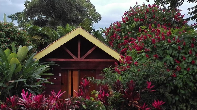 Selvita Lodge, Fortuna - Serviced accommodation in Catarata Río