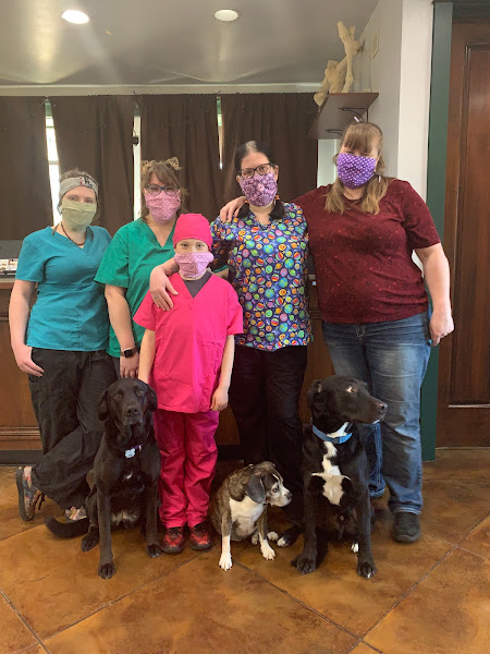 Idaho's Gem Pet Hospital, Formerly Lake City Pet Hospital - Veterinarian in Coeur d'Alene