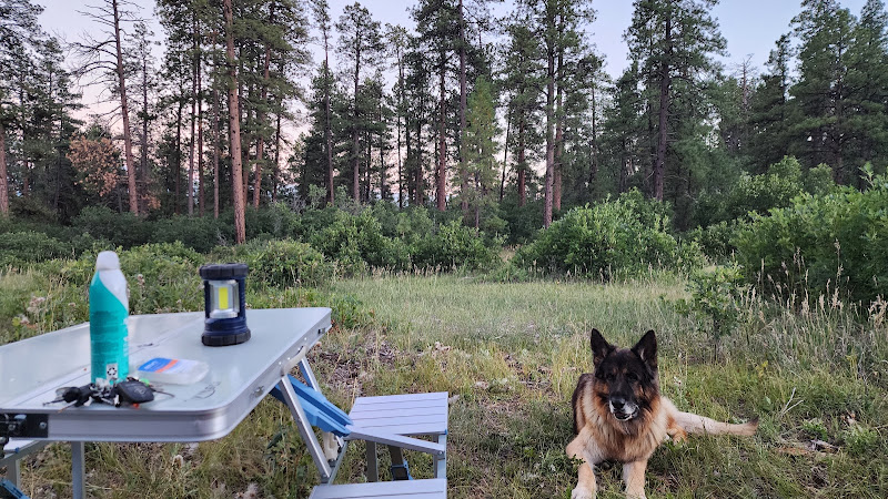 Turkey Springs Dispersed Camping - Campground in CO 81147