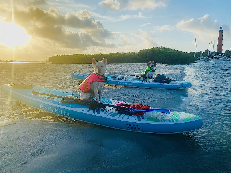 ALL WET SPORTS - Canoe & kayak rental service in Jacksonville