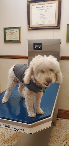 Carrollton Veterinary Hospital