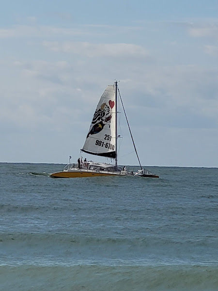 Perdido Beach Service - Canoe & kayak rental service in Orange Beach