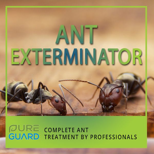 PureGuard Pest Solutions