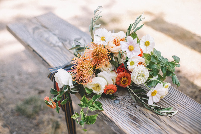 Rust and Thistle