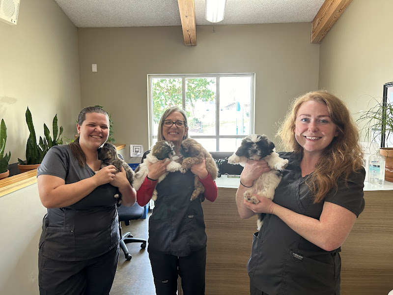Riverview Animal Hospital - Veterinarian in Chattanooga