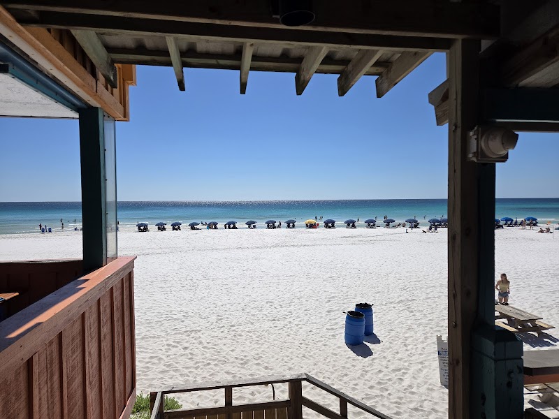 The Back Porch photo