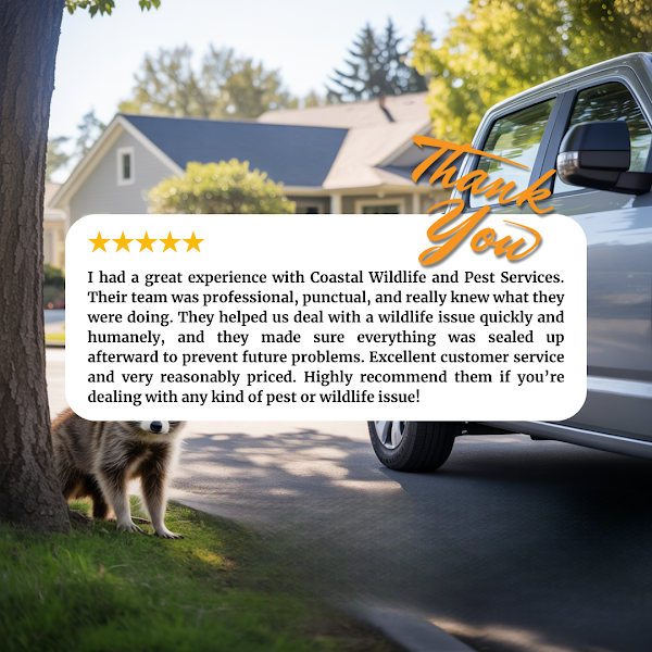 Coastal Wildlife & Pest Control Services of Jacksonville FL