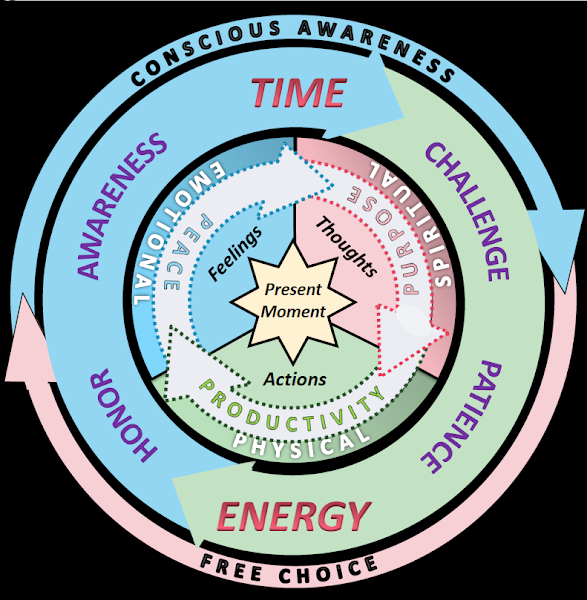 Hilton Head Health & Wellness