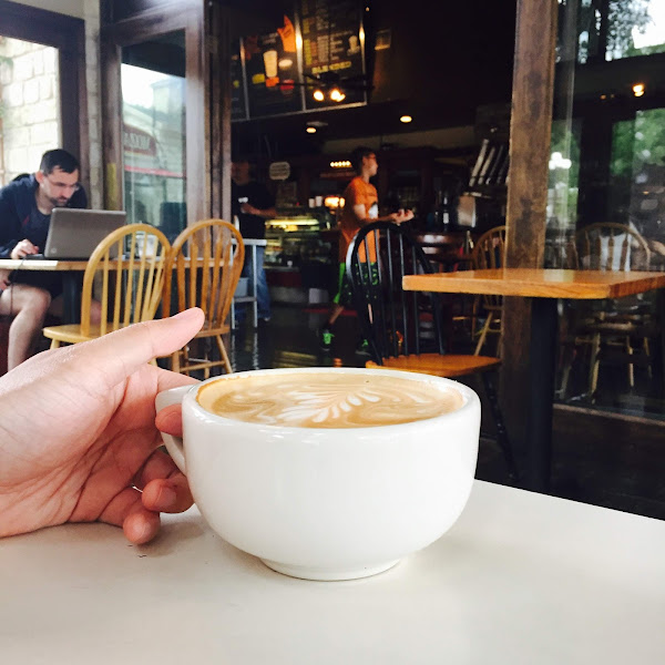 Mozart's Coffee Roasters - Coffee shop in Austin