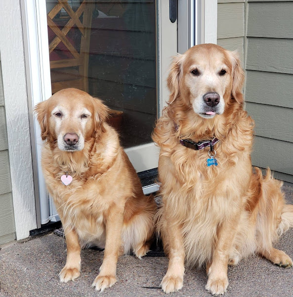 Whitefish Animal Hospital