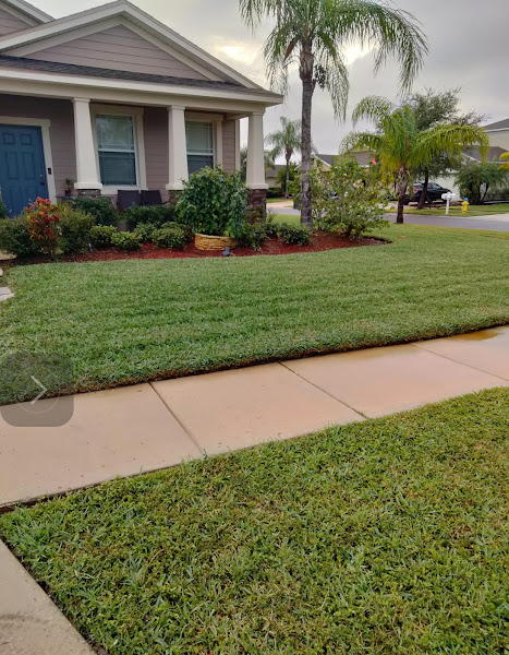 Real Landscaping LLC