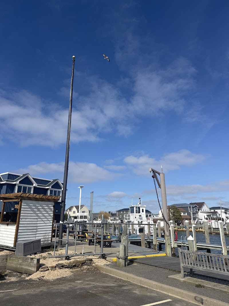 Great South Bay Watersports photo
