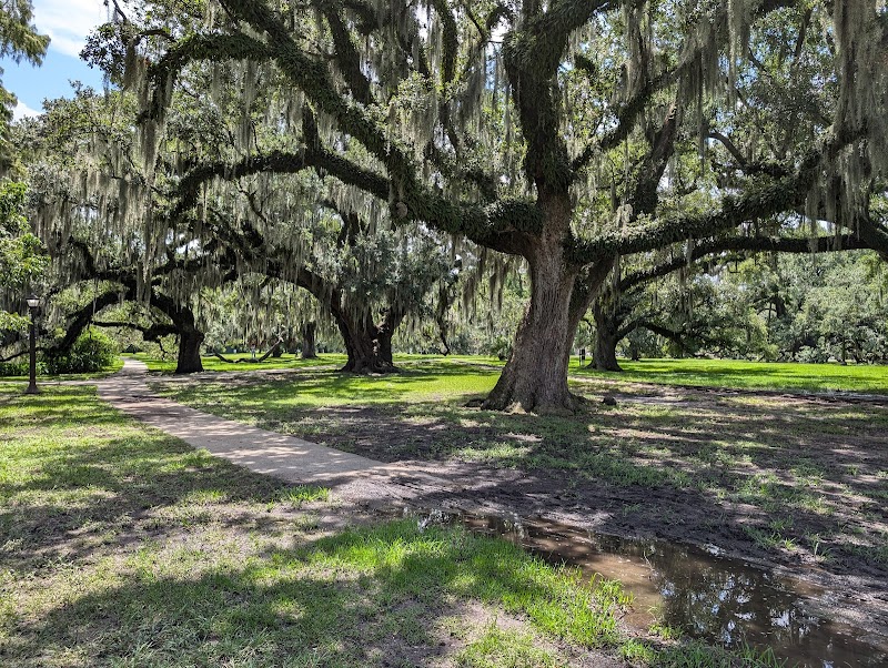 New Orleans City Park - Tourist attraction in your area