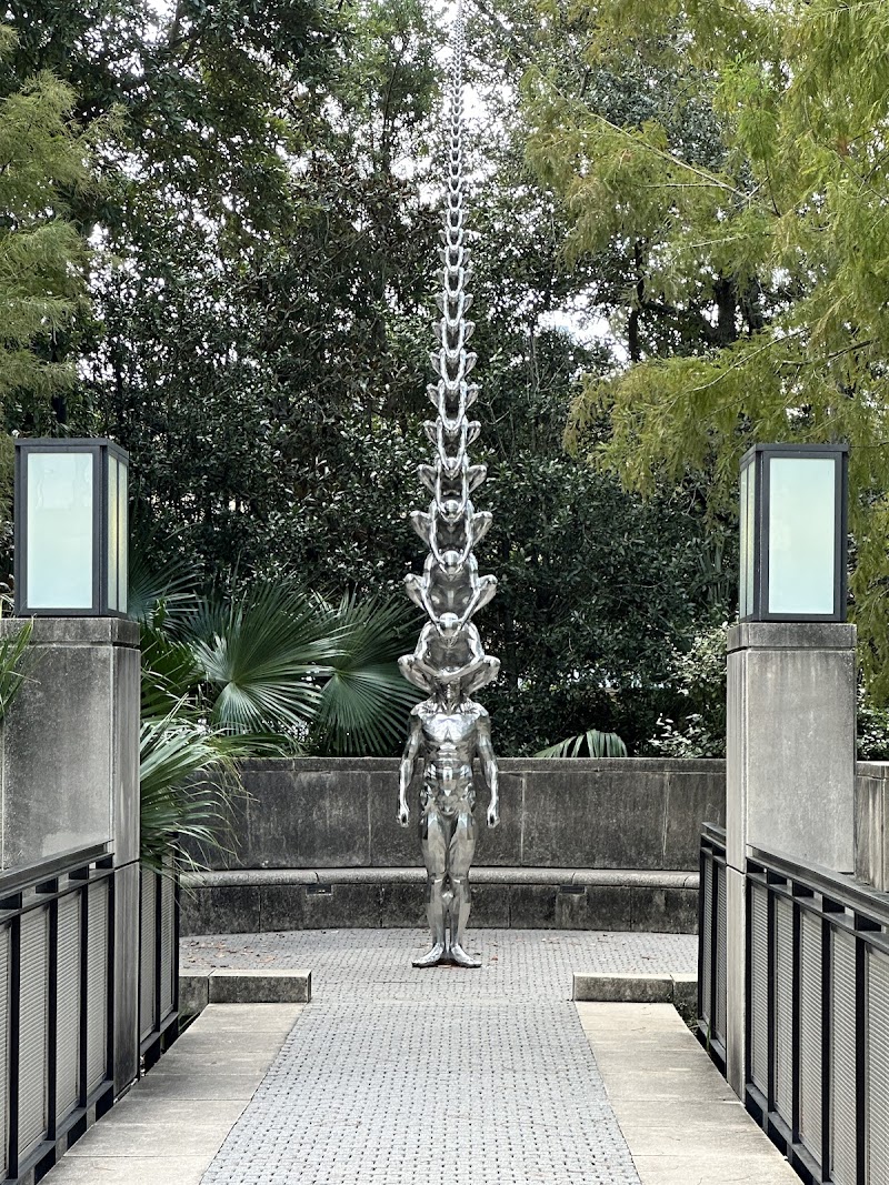 New Orleans City Park photo