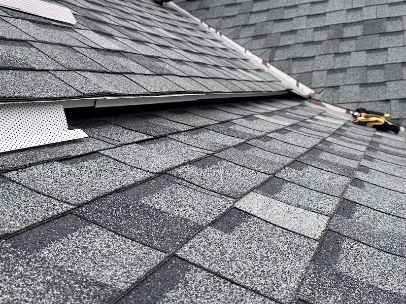 Ewert Pest and Wildlife - Pest control service in Bellevue