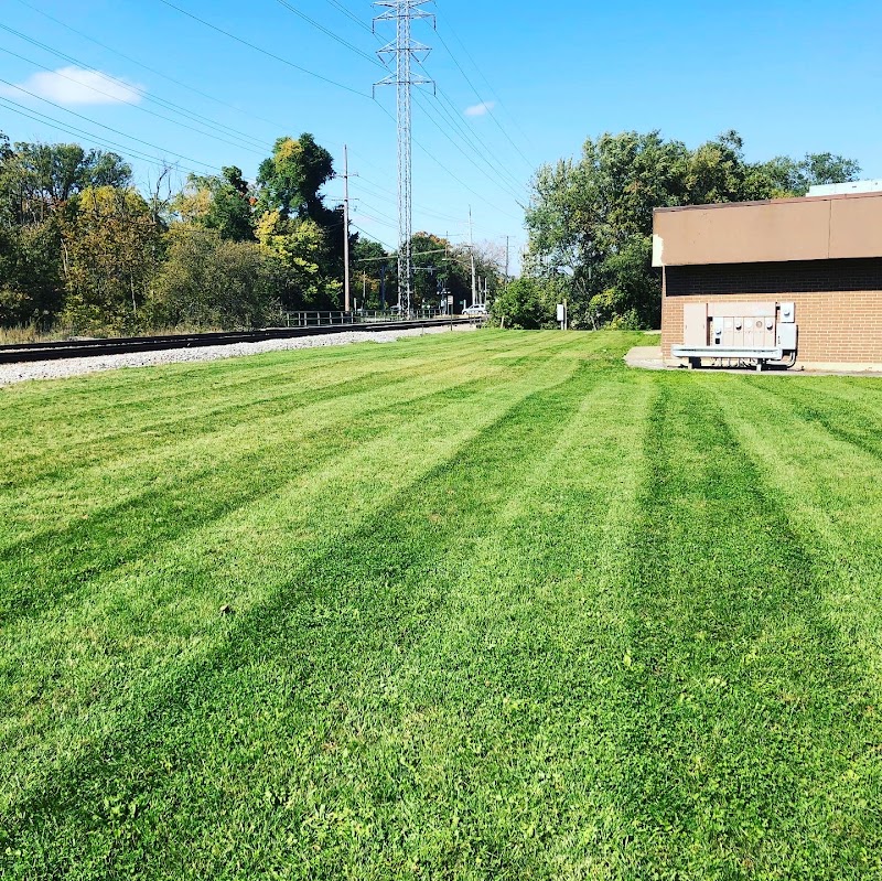 V&V Landscaping inc. - Landscaper in Chicago