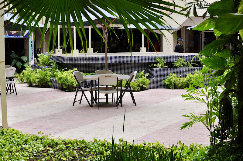 Trattoria - Pizza restaurant in Puerto Plata 57000