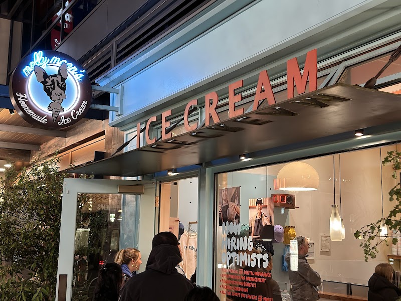 Molly Moon's Homemade Ice Cream University Village
