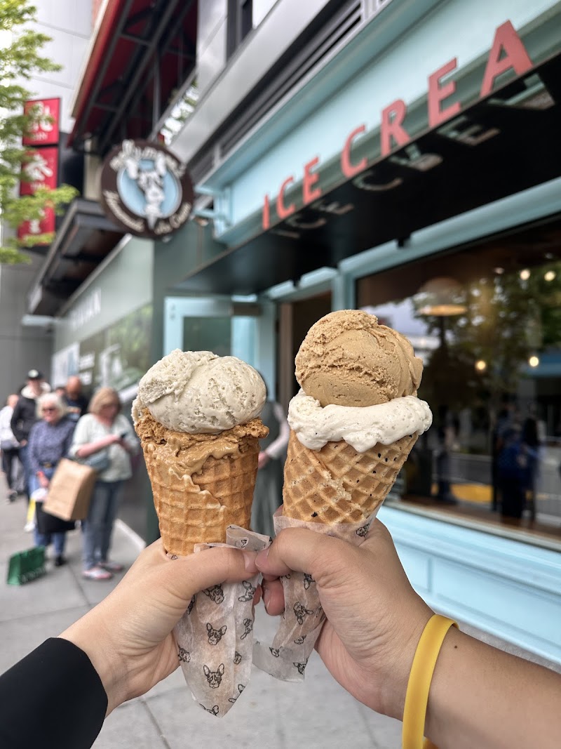 Molly Moon's Homemade Ice Cream University Village photo