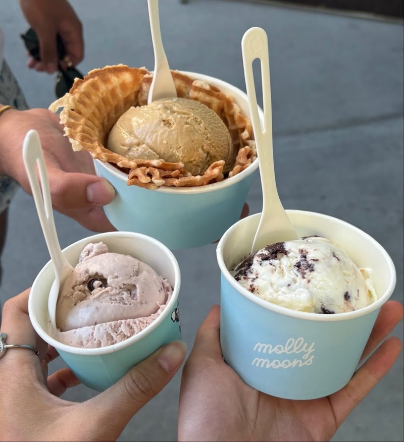 Molly Moon's Homemade Ice Cream University Village photo