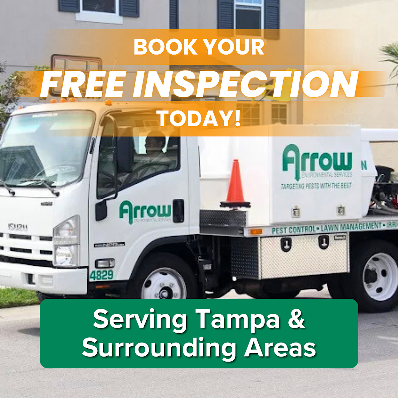 Arrow Environmental Services - Pest control service in Tampa