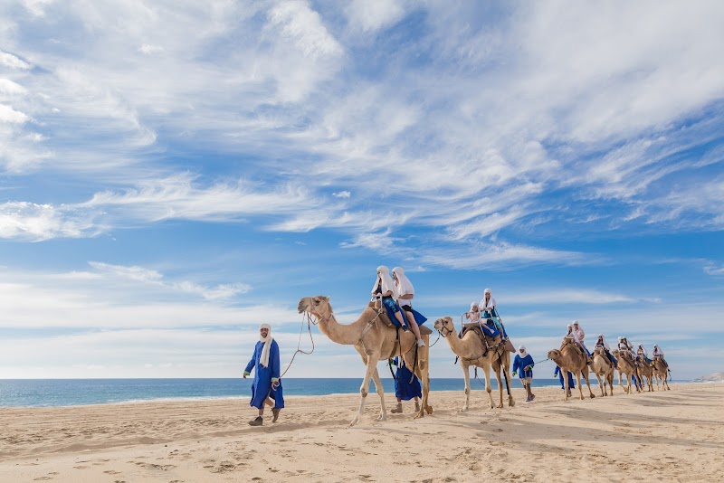 Cabo Adventures - Outdoor activity organiser in Centro