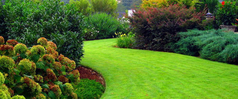 Chop Chop Landscaping - Landscaper in Palm Springs