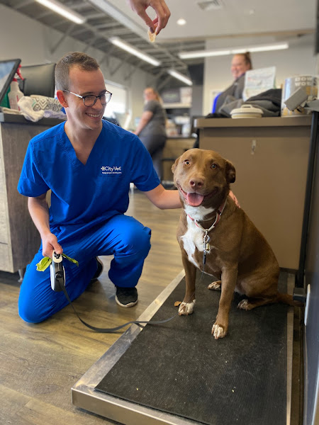 CityVet | Lovers Lane