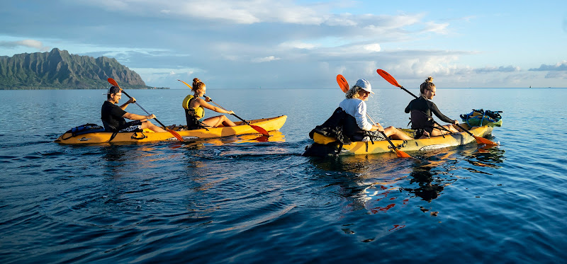 Active Oahu