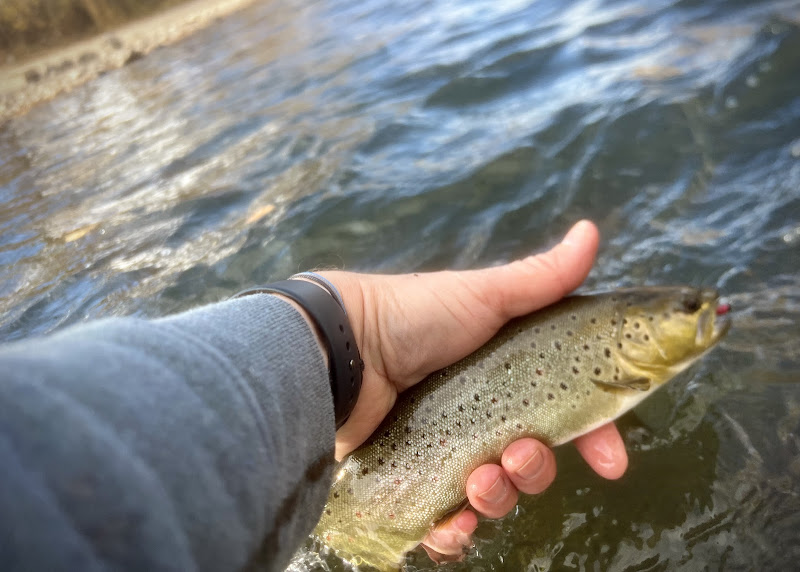 ANGLERS Fly Shop