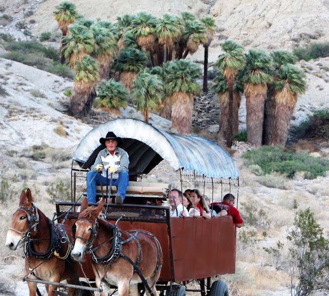 Covered Wagon Tours - Tourist attraction in Palm Desert