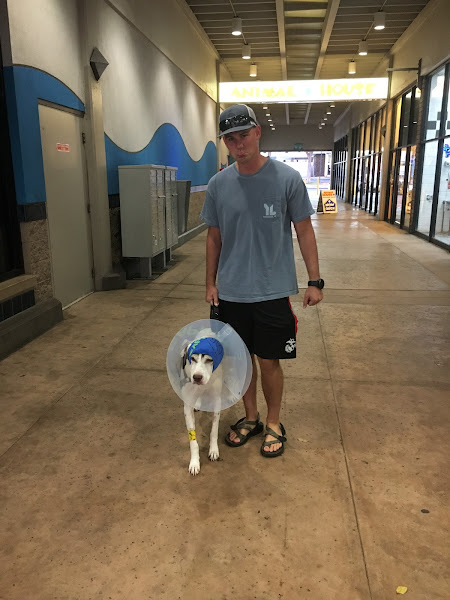 Animal House Veterinary Center