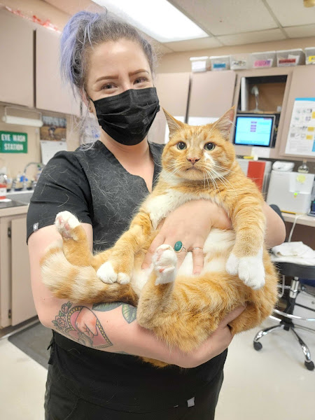 Elliott Bay Animal Hospital