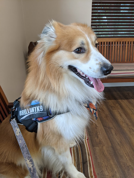 Gregory Veterinairy Clinic