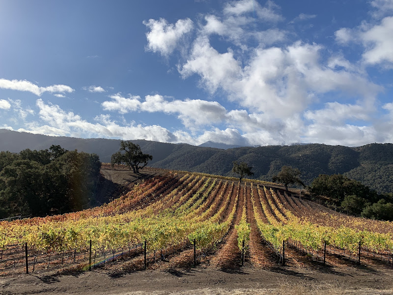 Silvestri Vineyards - Winery in Dolores St