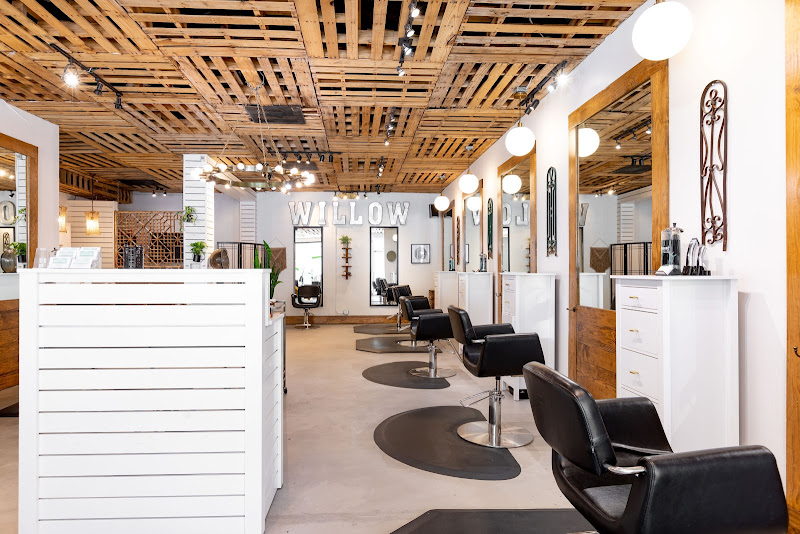 Willow Salon Downtown - Hair salon in Charleston
