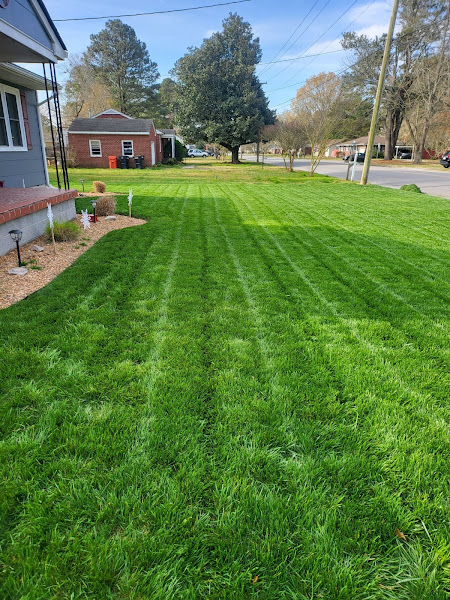 Coastal Landscaping & Lawn Care - Landscaper in Kitty Hawk