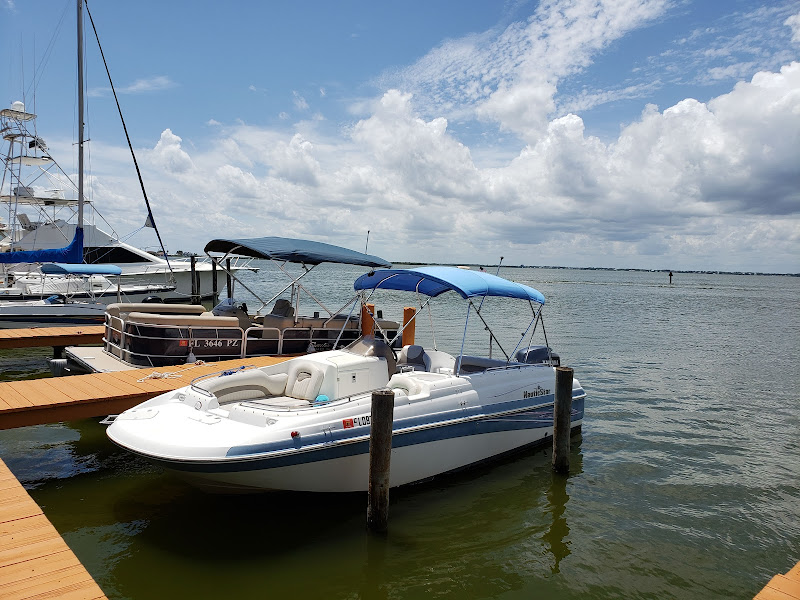 Cocoa Beach Dolphin Tours