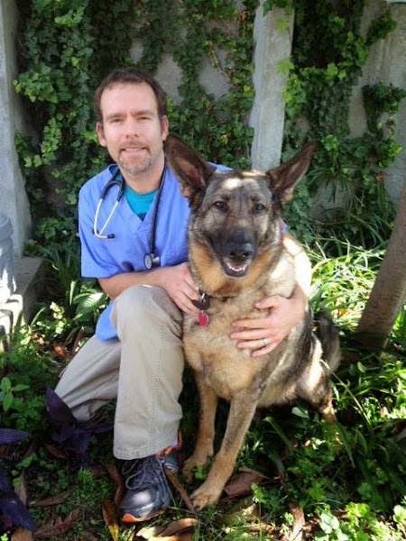 Hillman Veterinary Clinic